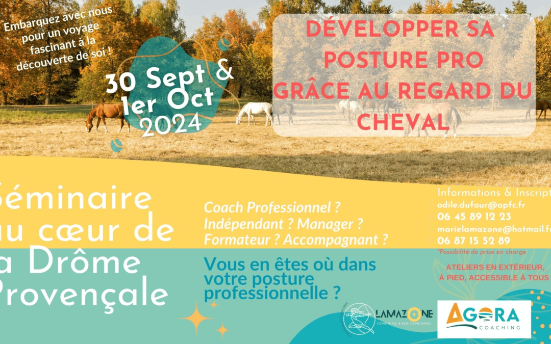 Evenement Seminaire Posture Professionnelle 20240616 143440 00009 1080x675 - Notre réseau