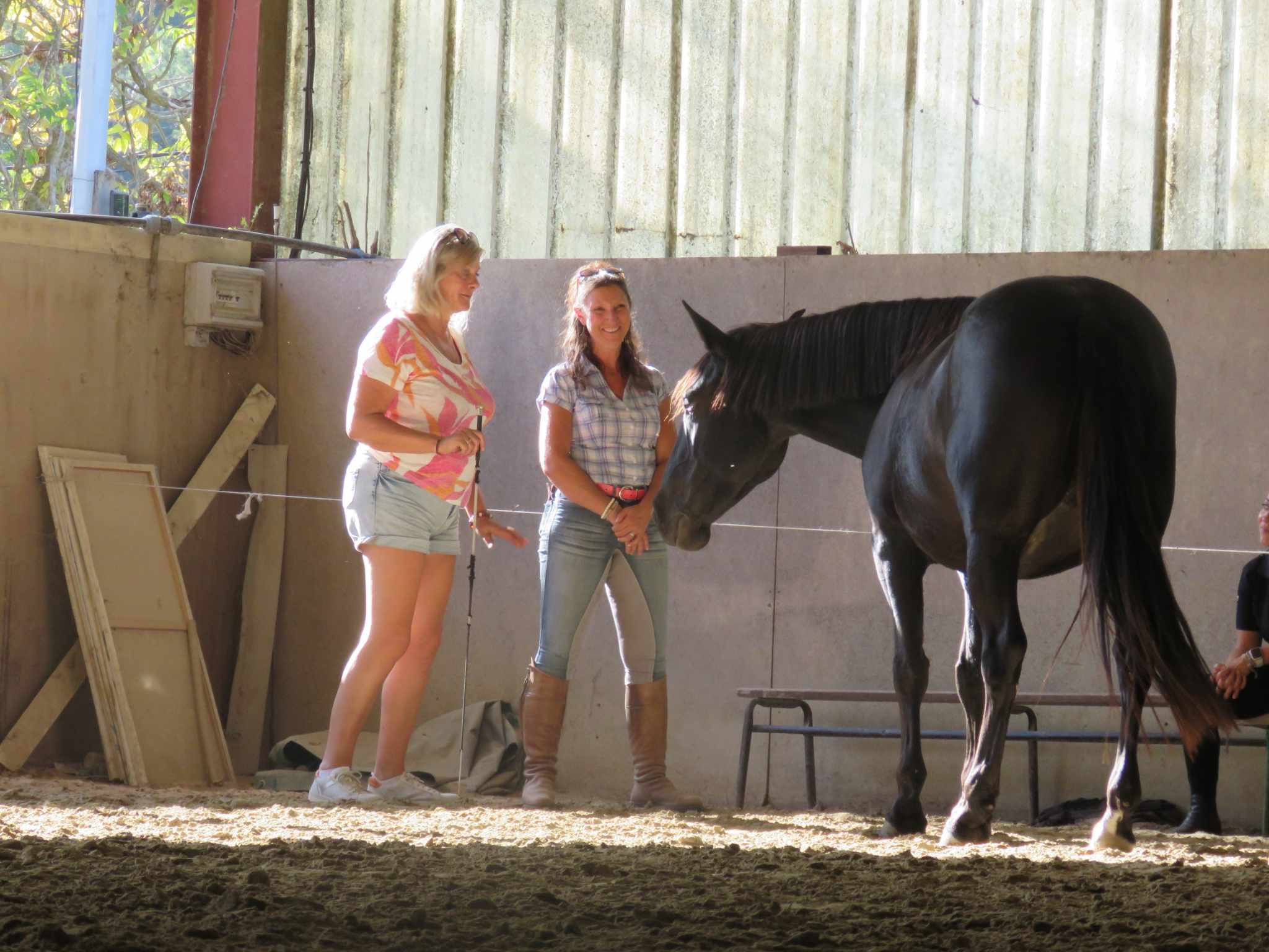 387490058 1498931434201656 7693215031810029777 n - Séminaire Équicoaching :  Dompte ta posture professionnelle grâce au cheval !