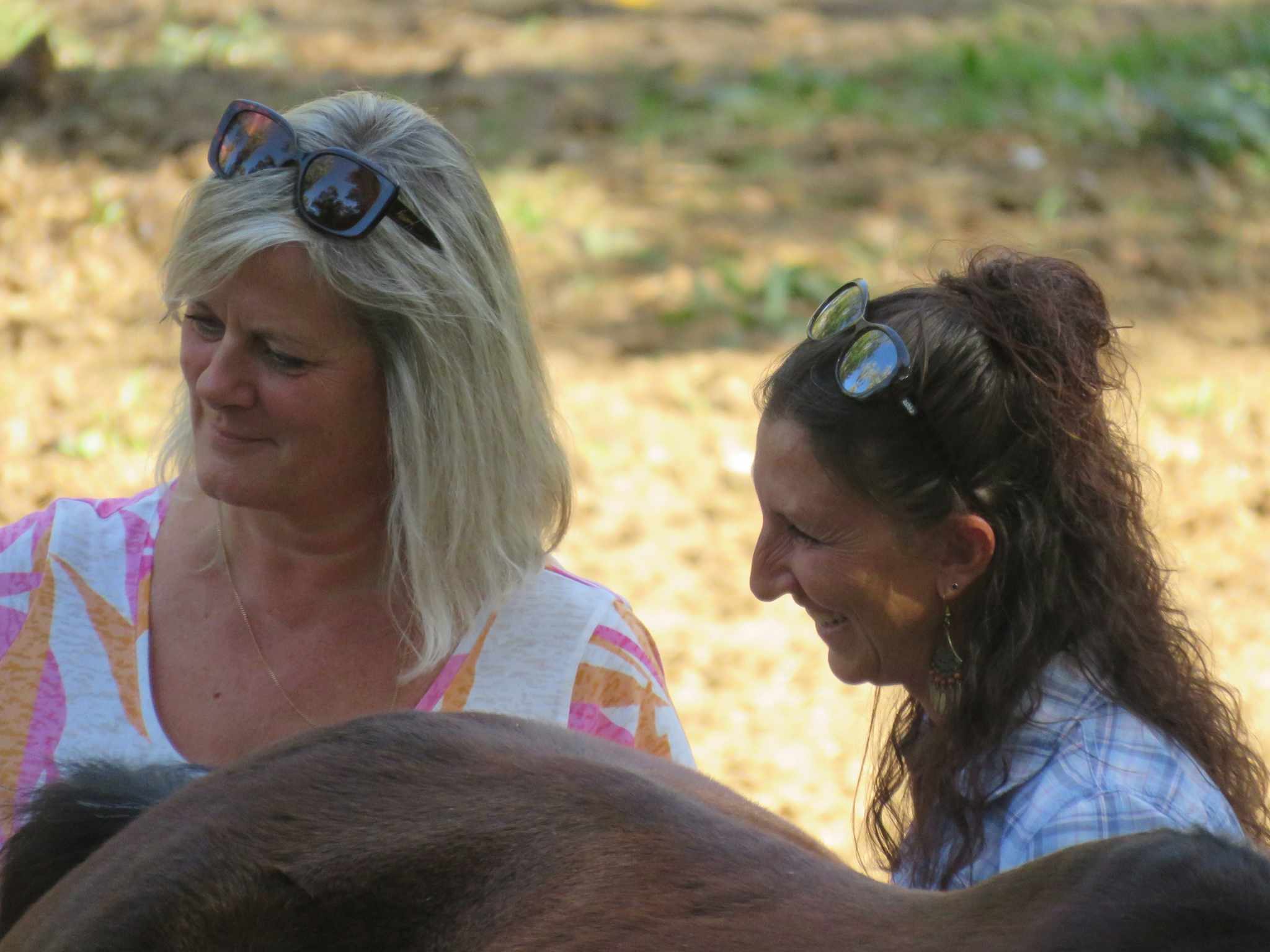 387525357 864471025061787 5686041958303552210 n - Séminaire Équicoaching :  Dompte ta posture professionnelle grâce au cheval !